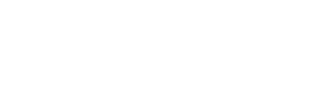 leroymerlin-white-logo